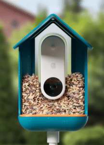 gift guide bird feeder