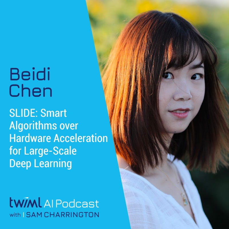 Cover Image: Beidi Chen - Podcast Interview