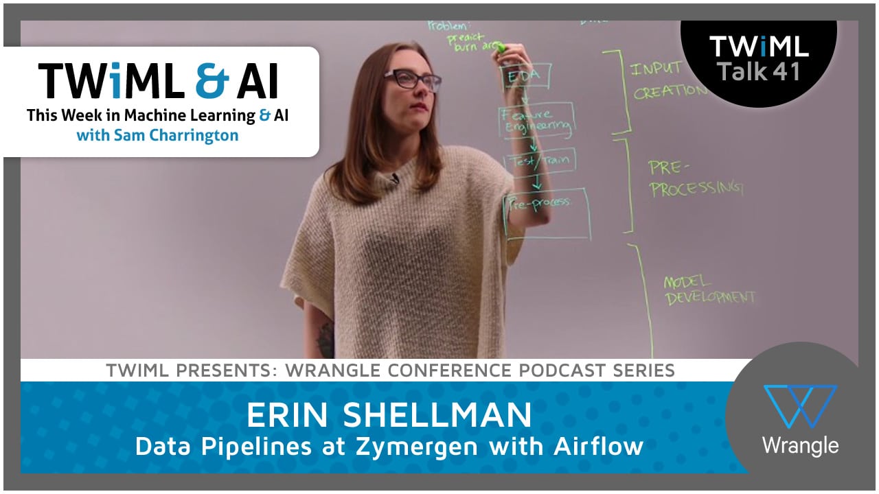 Banner Image: Erin Shellman - Podcast Interview